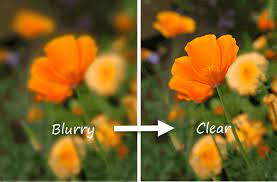 flower_blur_unblur.jpg